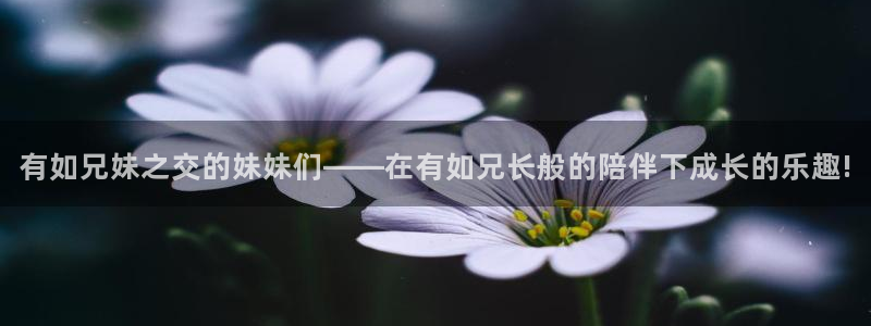 香蕉漫画免费版