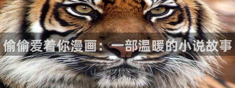 香蕉漫画在线观看免费网页